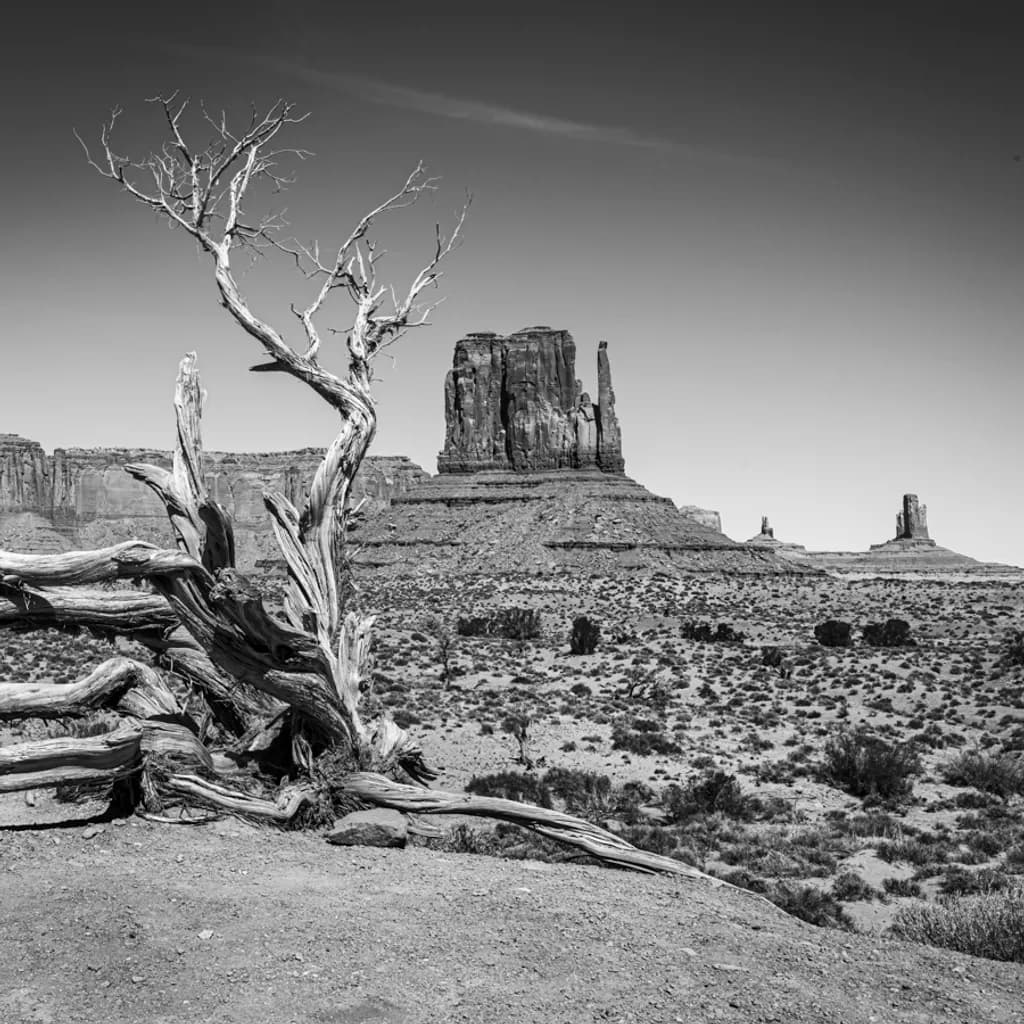 Monumental Quietude