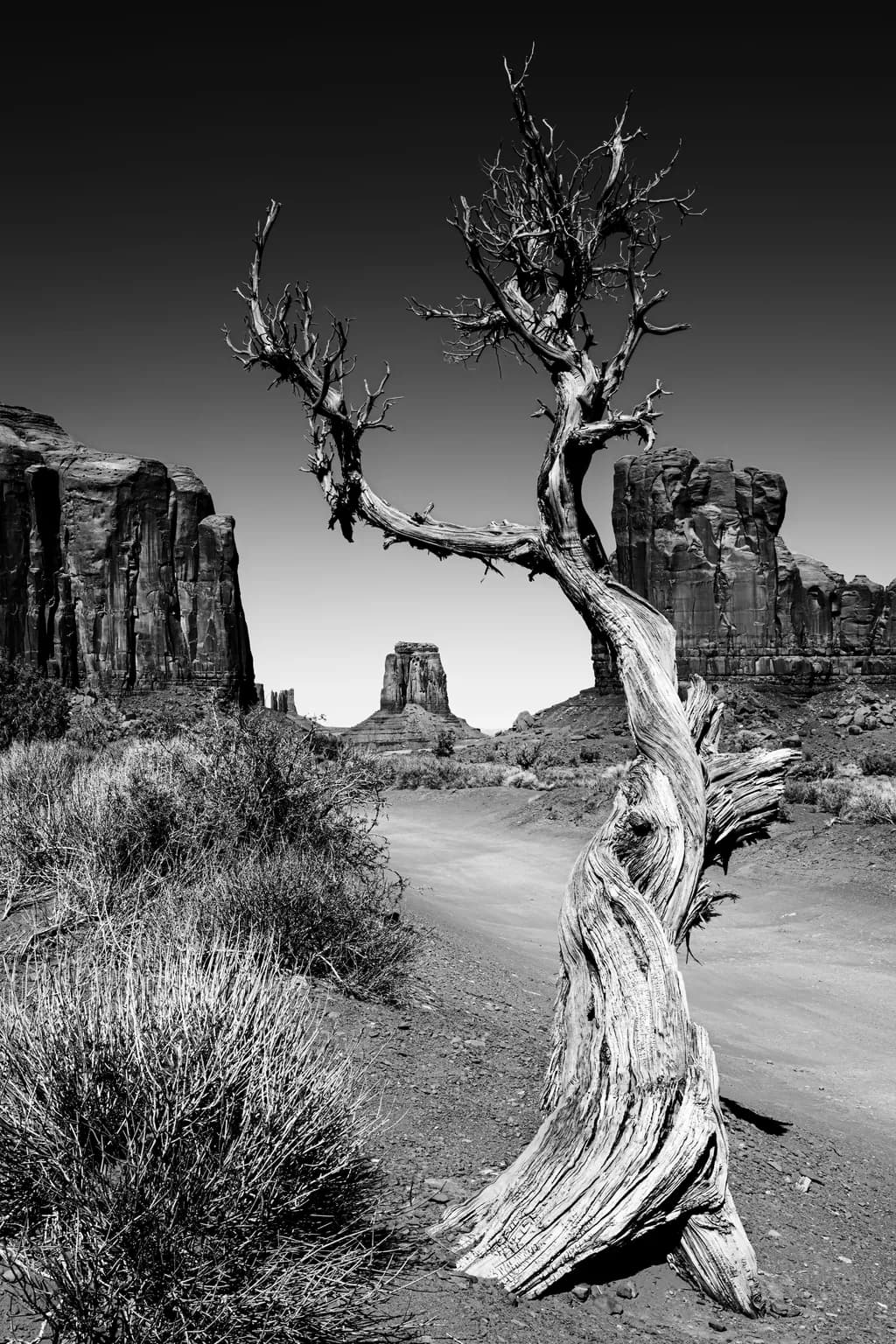 Twisted Sentinel