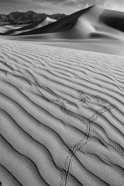 Footprints in the Desert — Death Valley, CA