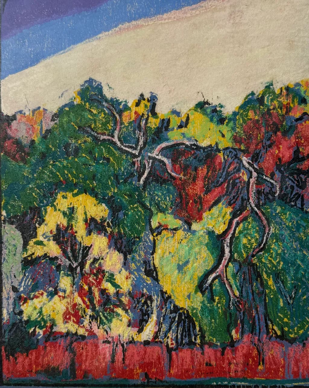 Colorful Canopy