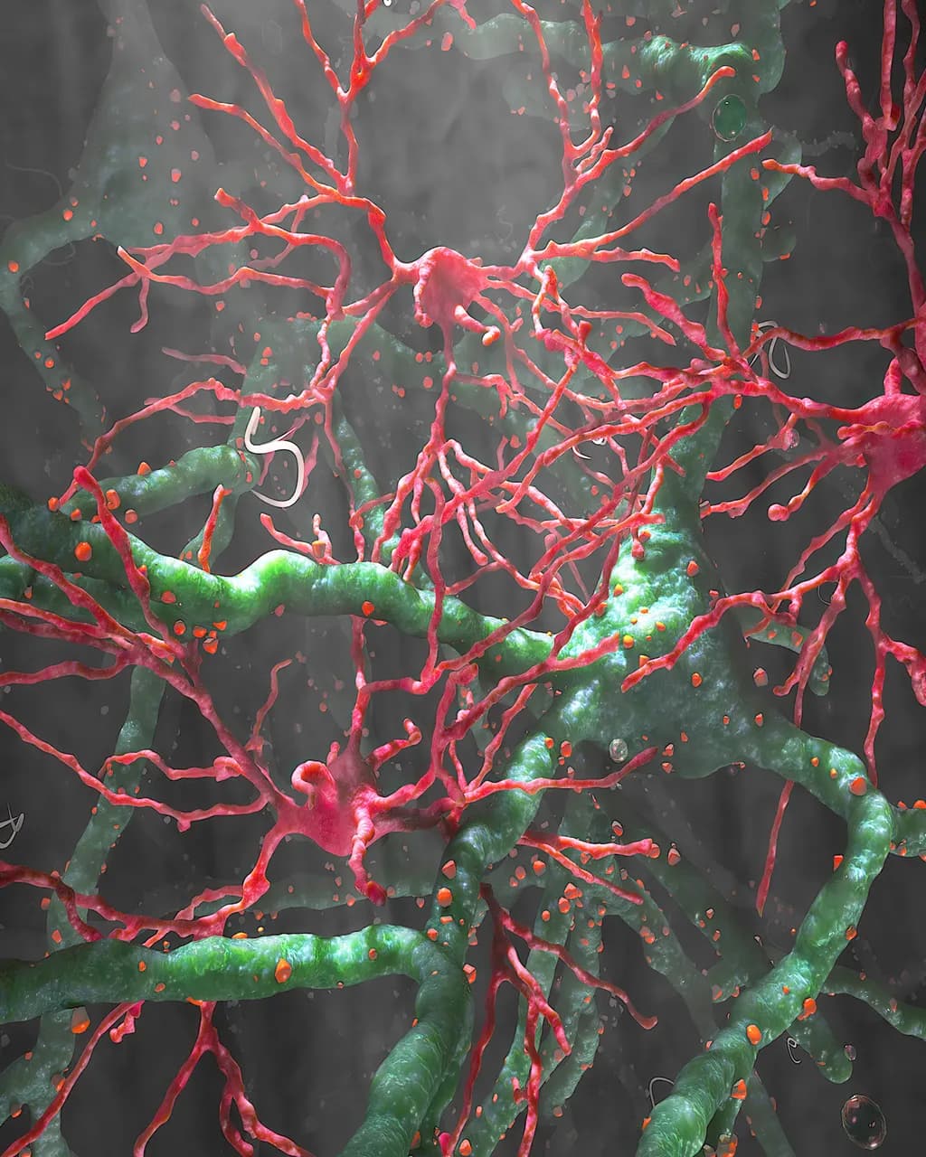 Neural Landscape
