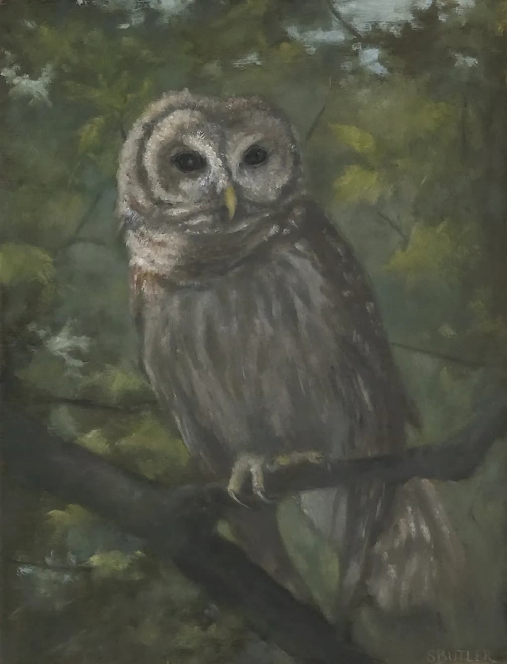 Whispers of the Night: A Serene Owl in Nature's Embrace