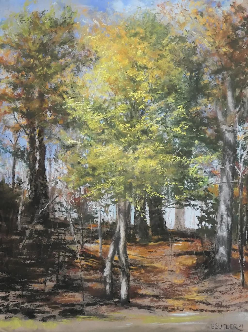 Whispers of Autumn: A Serene Forest Embrace
