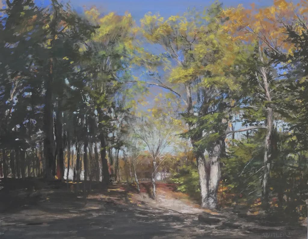 Whispers of Autumn: A Serene Forest Pathway in Golden Light