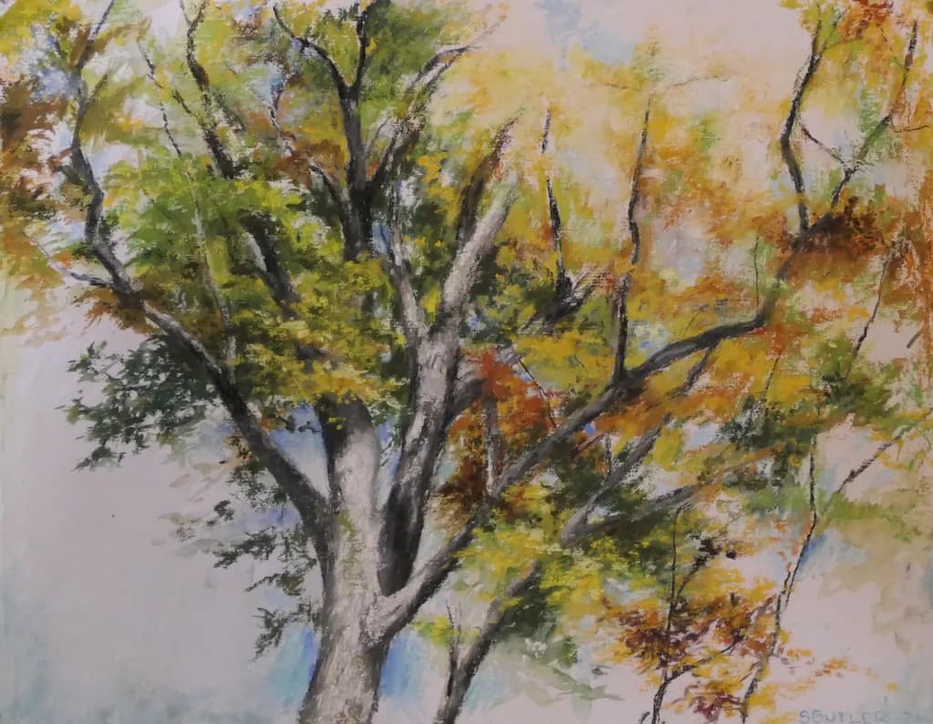 Whispers of Autumn: A Vibrant Tree in Transition
