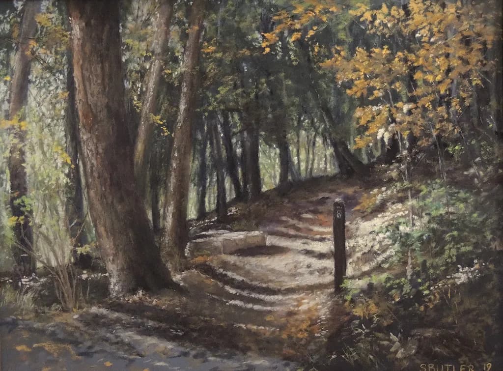 Whispers of Autumn: A Serene Forest Path Illuminated by Light and Shadow