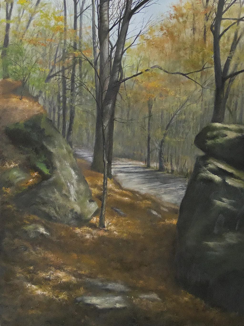 Whispers of Autumn: A Tranquil Path Through the Forest