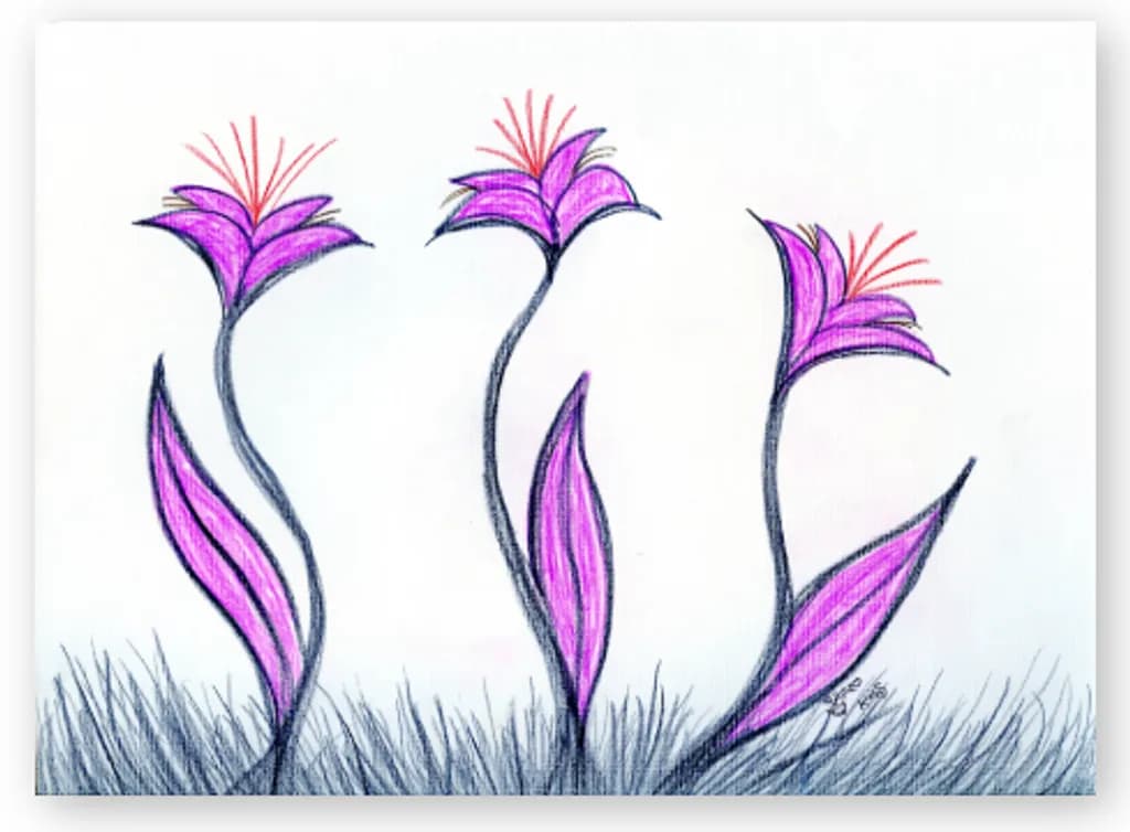 Space Flowers
