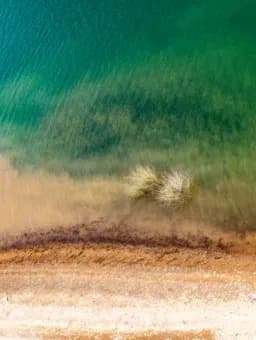 Where Green Meets Sand
