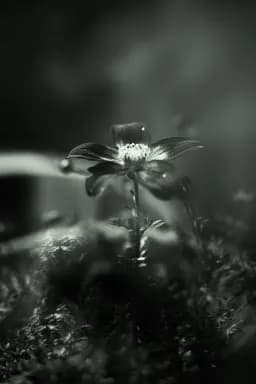 What the Heart Keeps