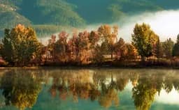 Reflections in the Pond
