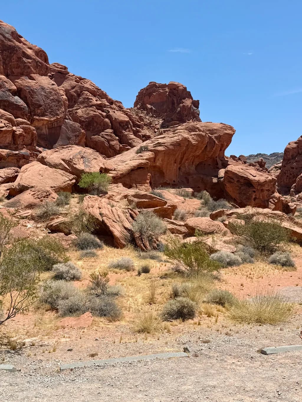 Desert Rock Formations