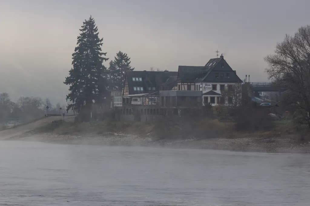 Whispers of Dawn: A Serene Encounter with Mist and Light
