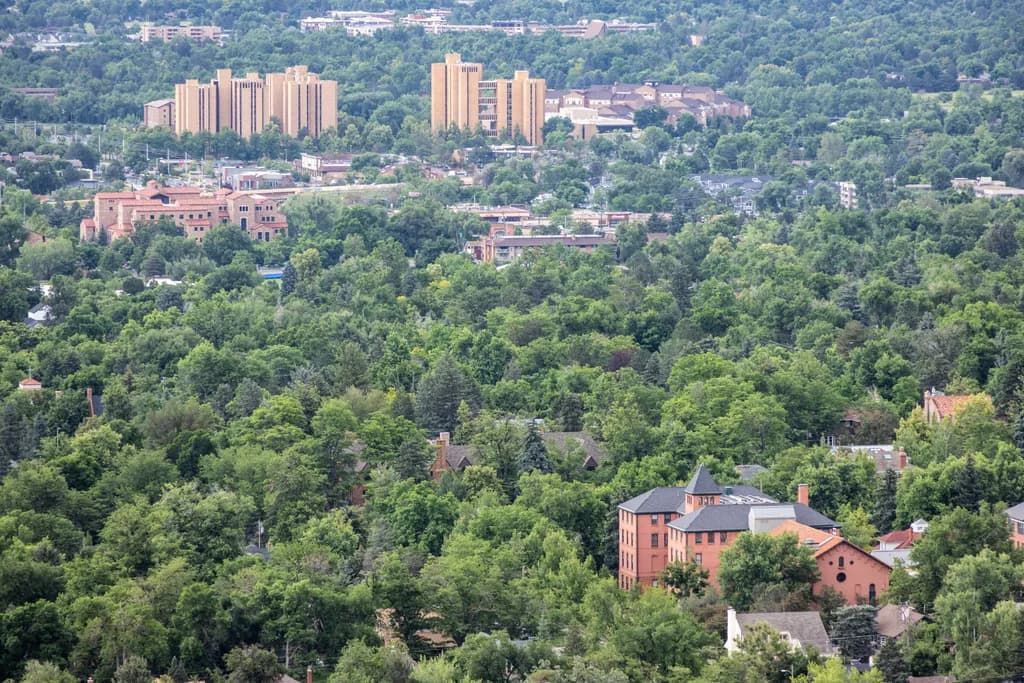 Whispers of Green: A Serene Urban Landscape Unveiled