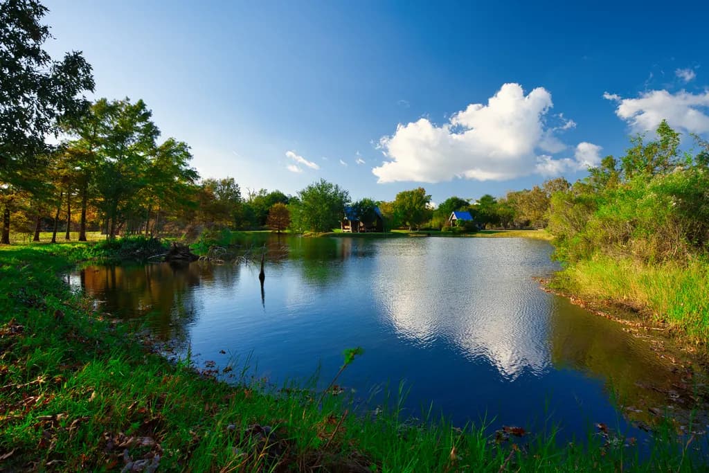 Tranquil Reflections