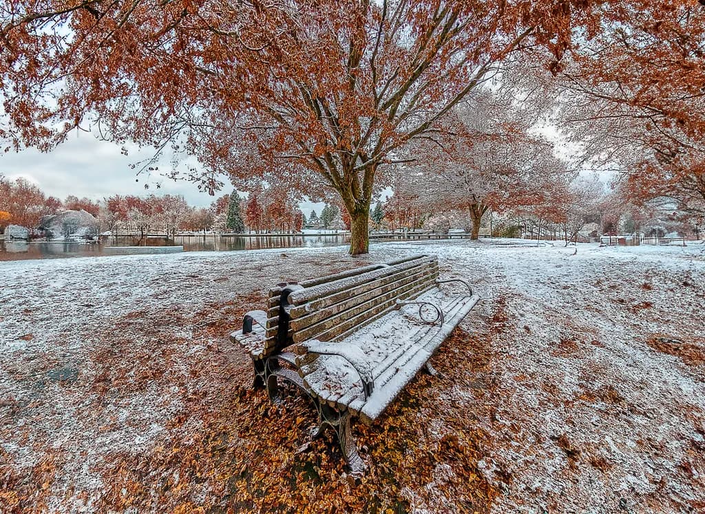 Autumn’s First Snow