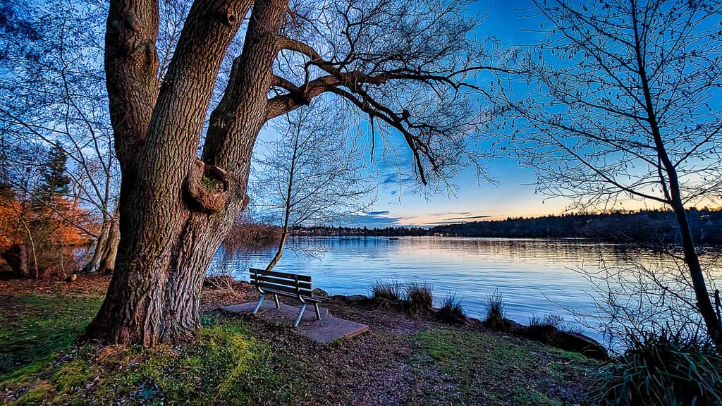 Lakeside Reflection