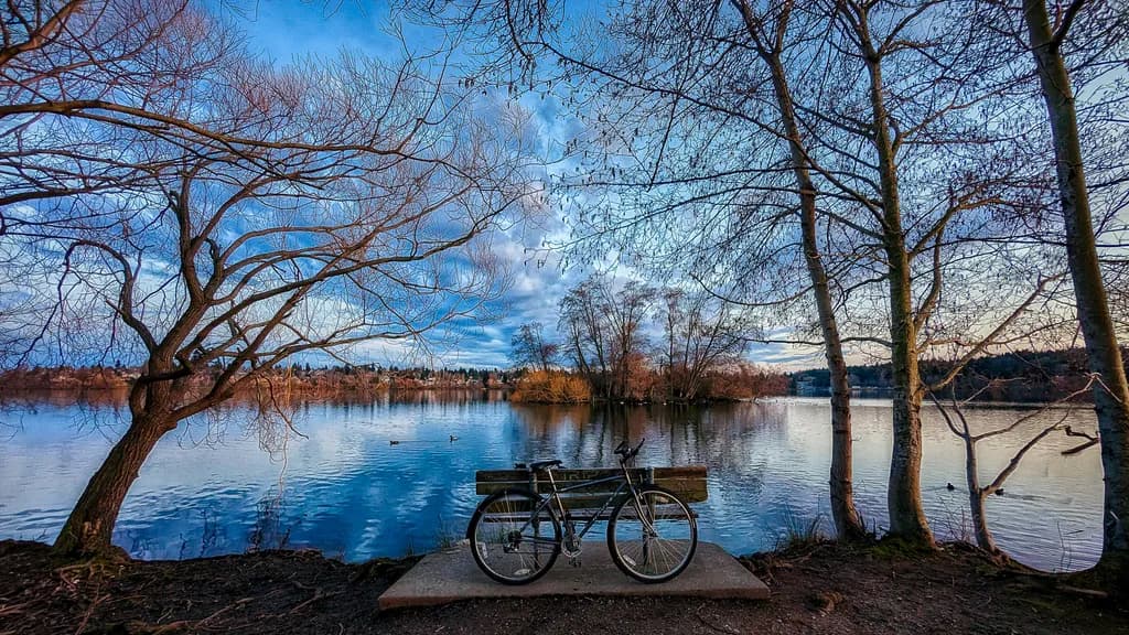 Lakeside Pause