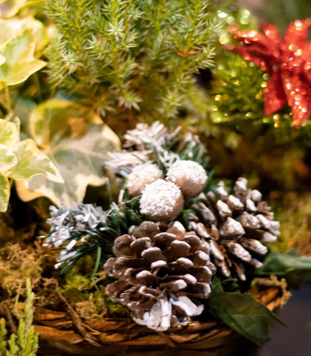Whispers of Winter: A Festive Nature Arrangement with Pinecones and Greenery