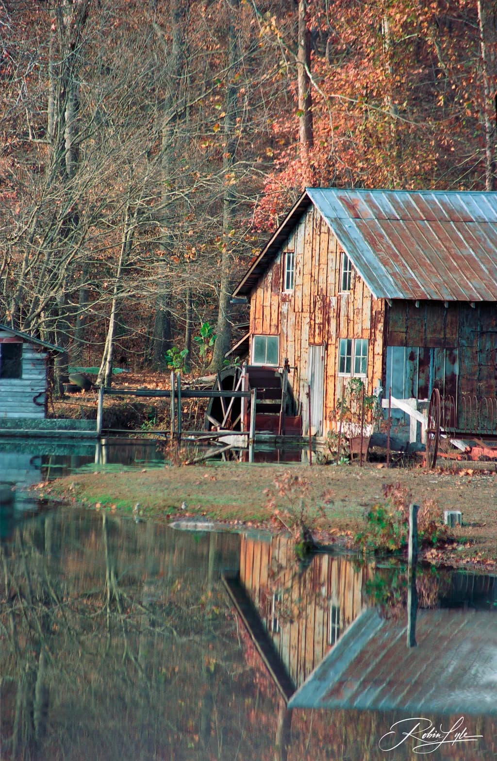 Cabin Reflection