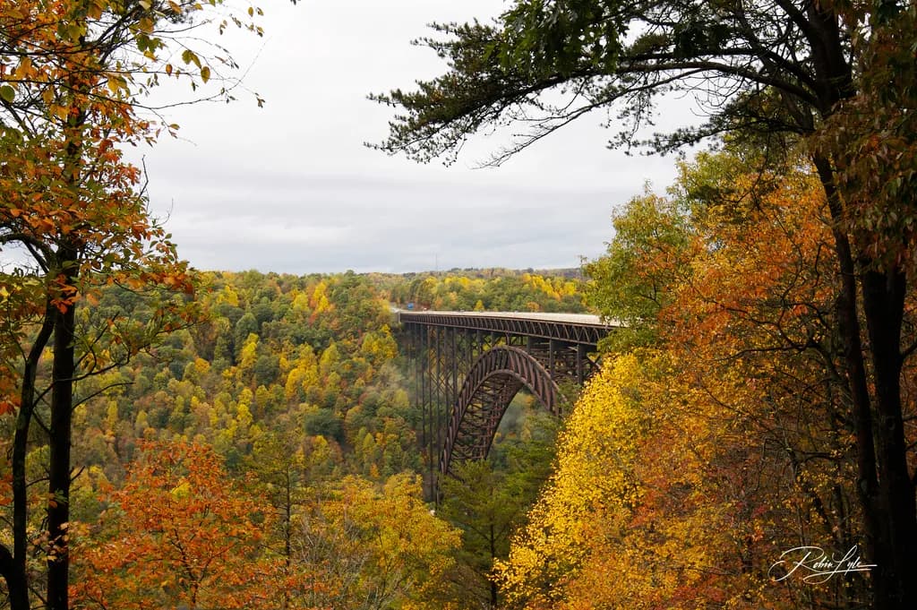 Autumn at the Gorge