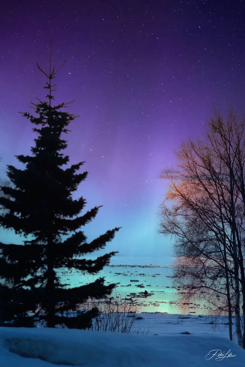 Colors of the Aurora
