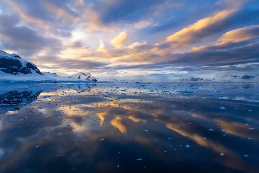 Polar Ice Reflection