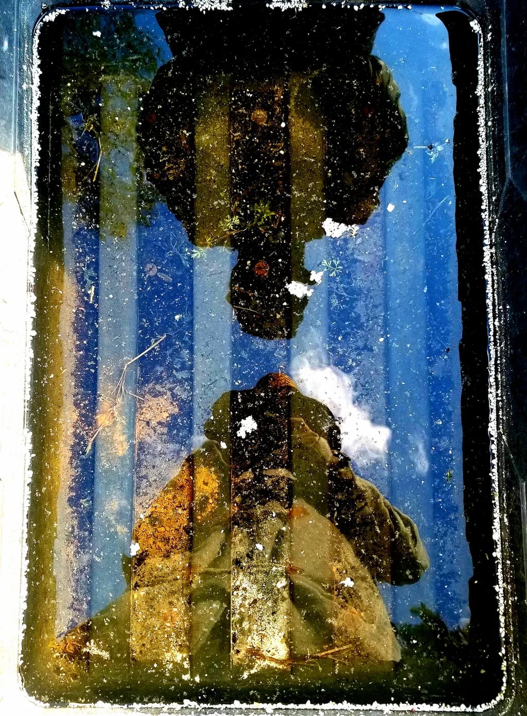 Reflections of Us