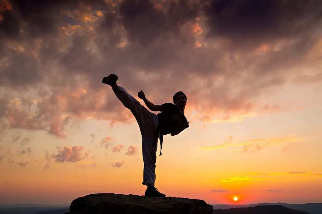 Sunset Martial Arts Silhouette