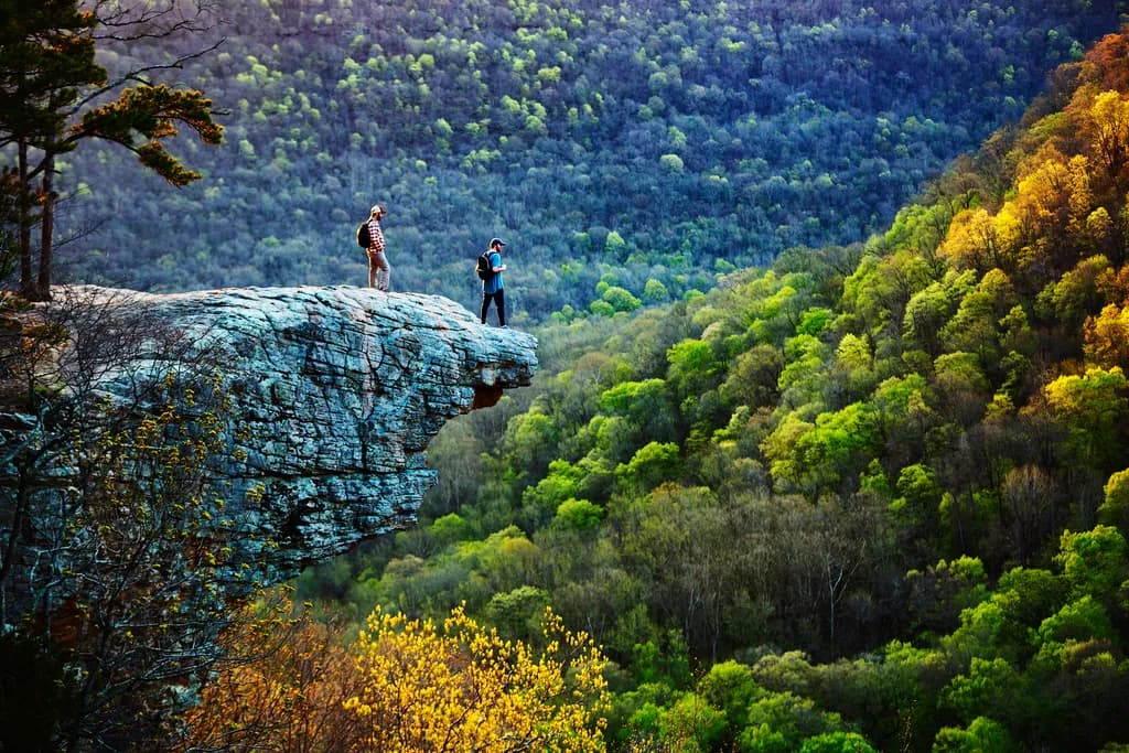 Overlook on Forest Ridge