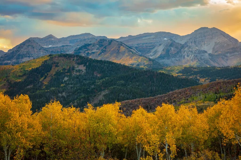 Autumn Timpanogos