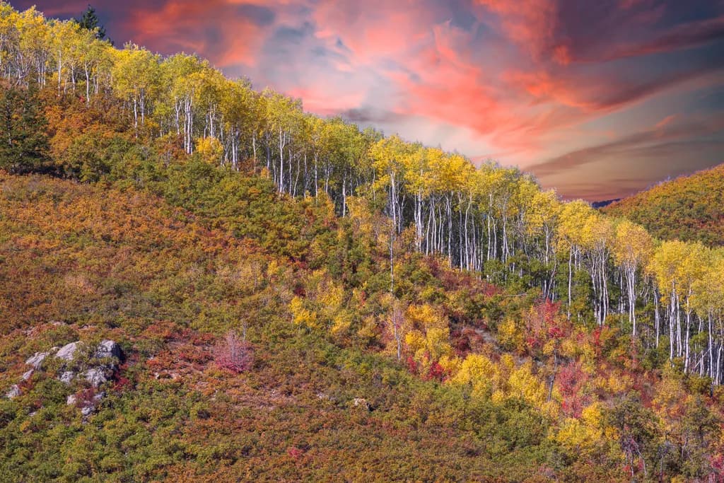 Autumn Cascade