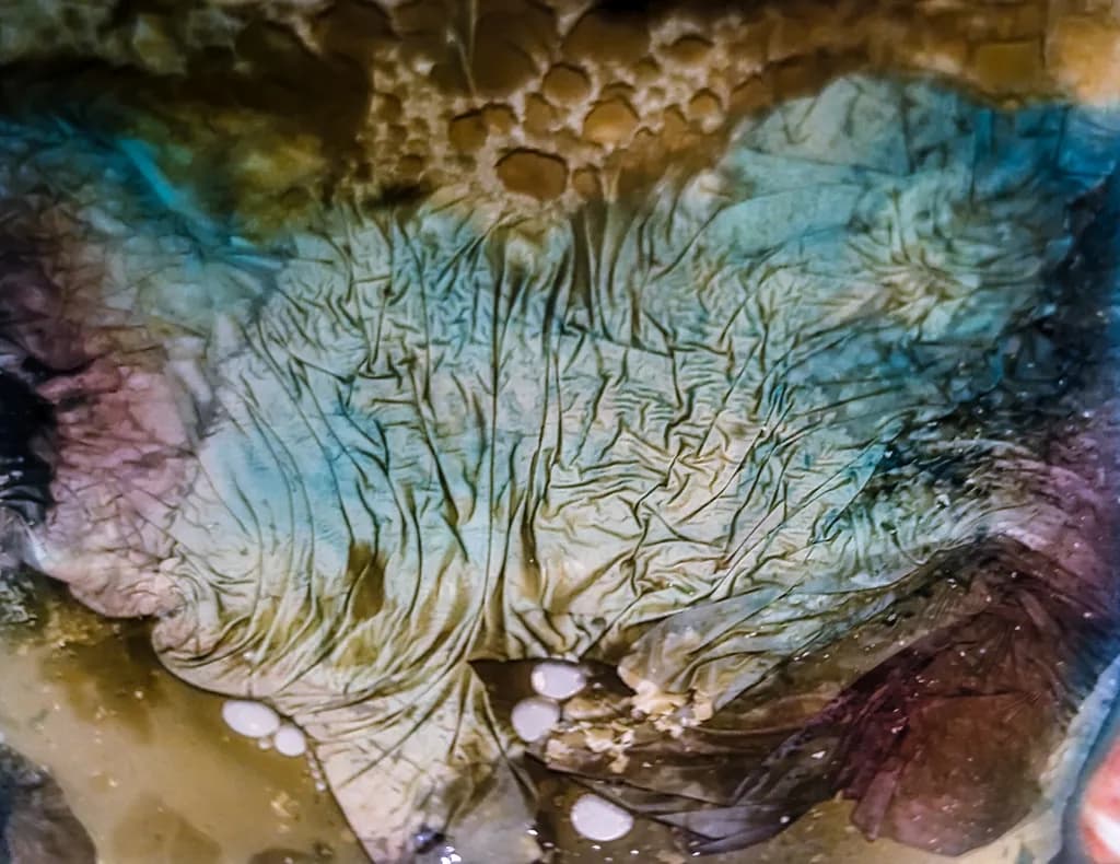 Whispers of Color: A Surreal Dance of Texture and Light