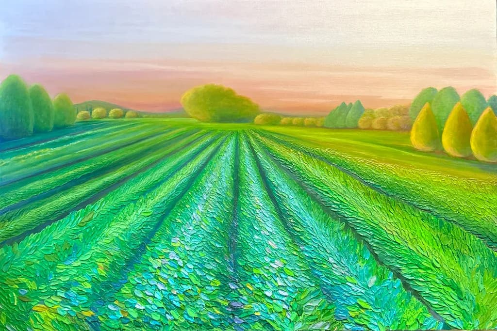 Rows at Dusk