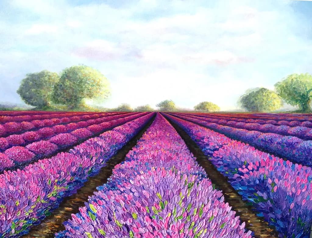 Lavender Horizons