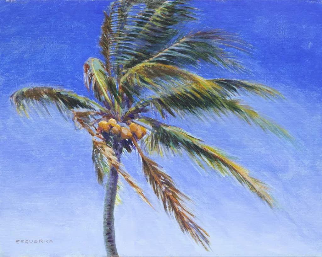 Coconut Palm