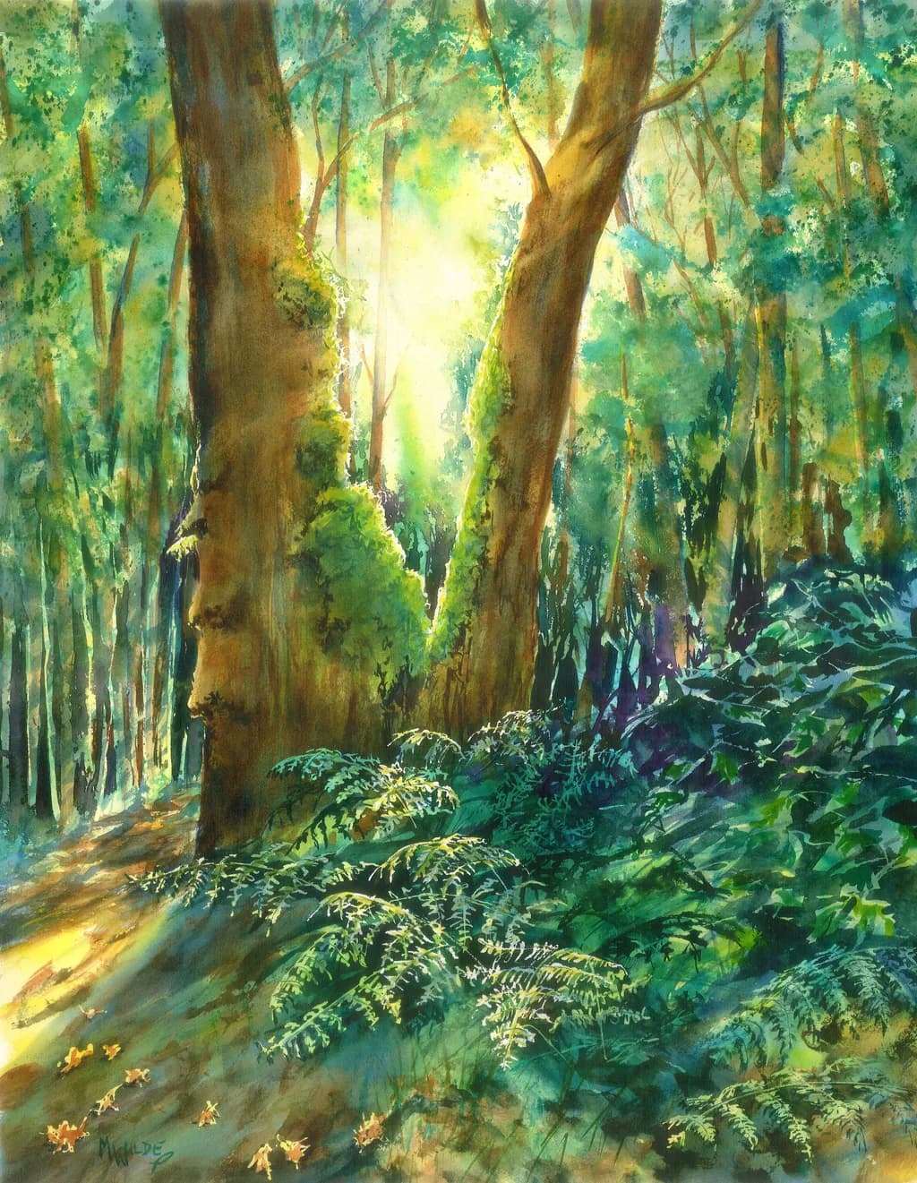 Whispers of Light: A Serene Forest Awakening