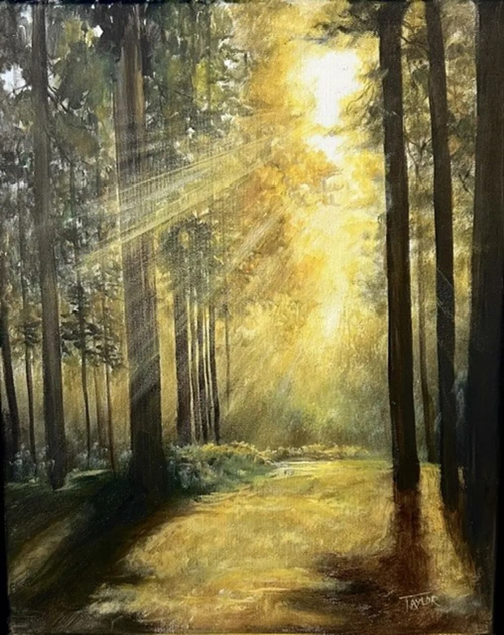 Golden Rays Forest
