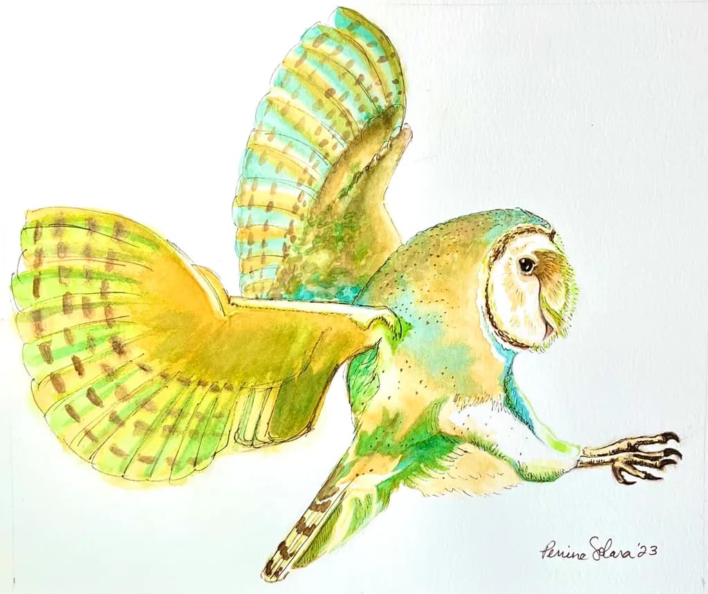 Colorful Flight