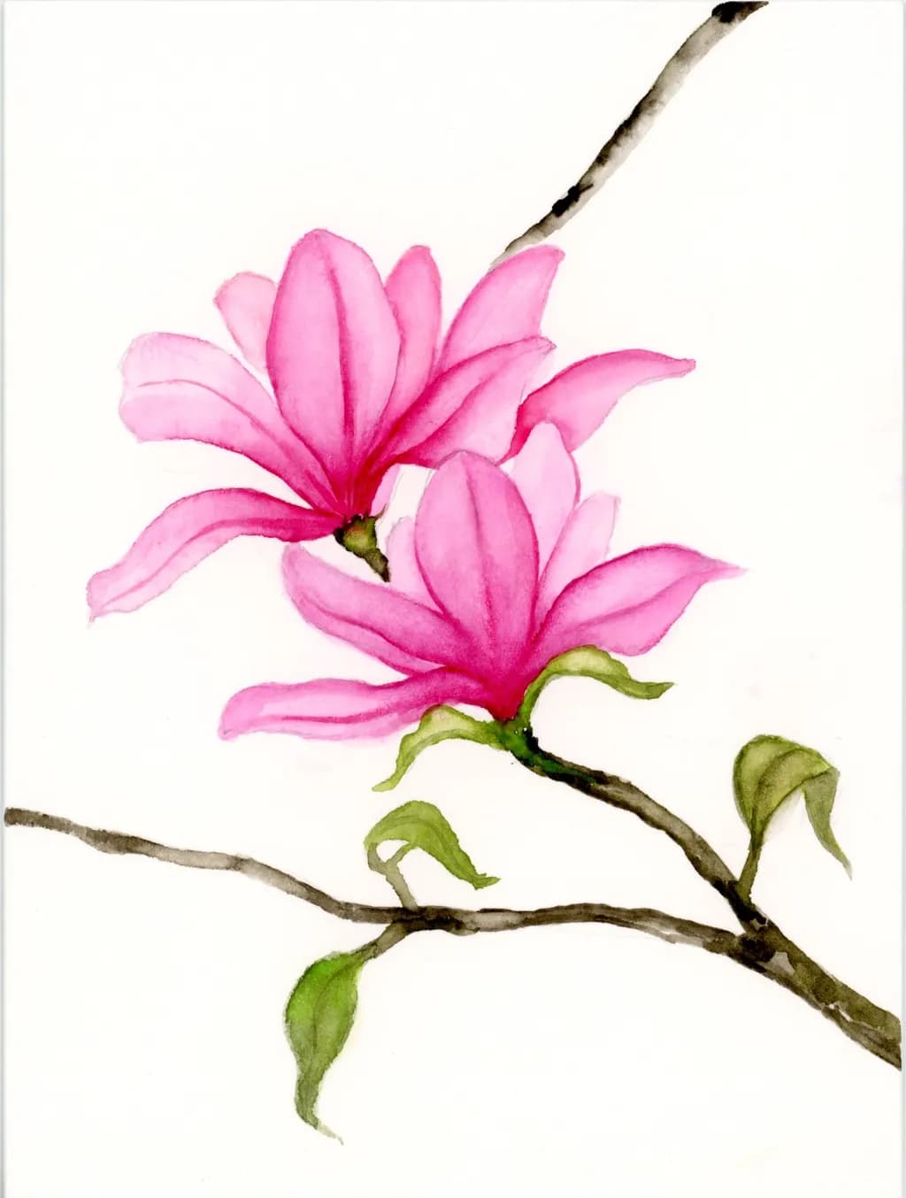 Blossoms of Laughter: A Whimsical Watercolor Journey Through Nature's Pink Petals
