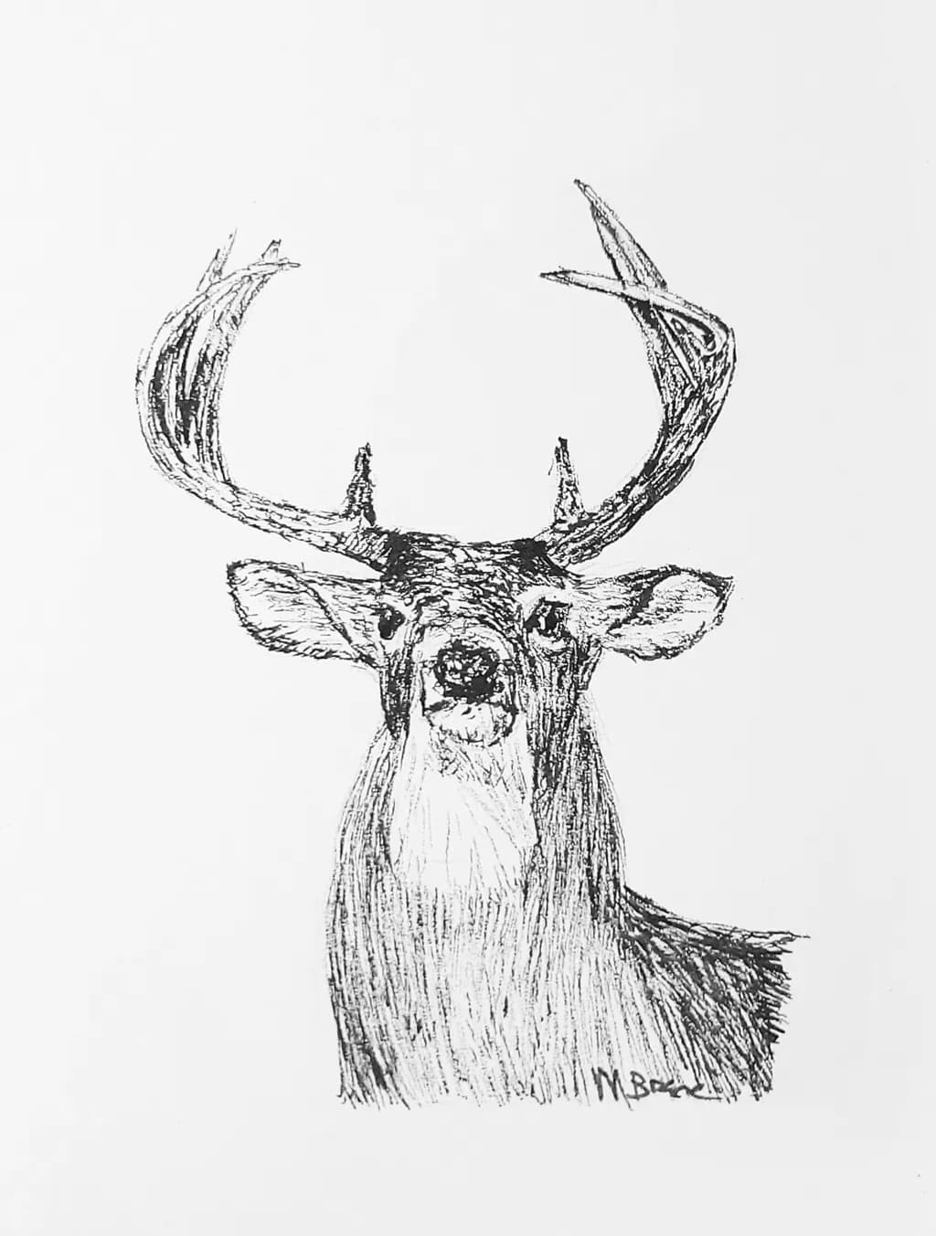 Polite Buck