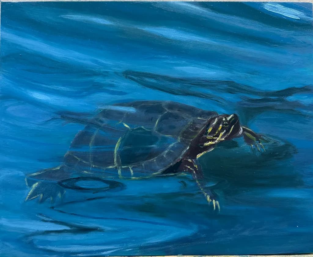 Serene Waters: A Tortoise's Journey Through Tranquil Blue Depths