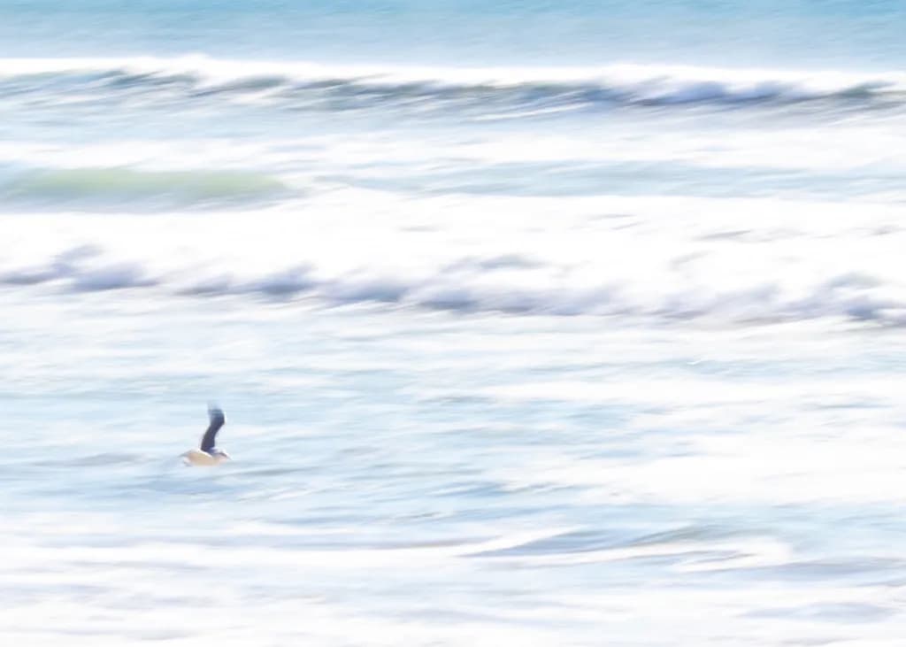 Whispers of the Ocean: An Abstract Journey Through Light and Motion