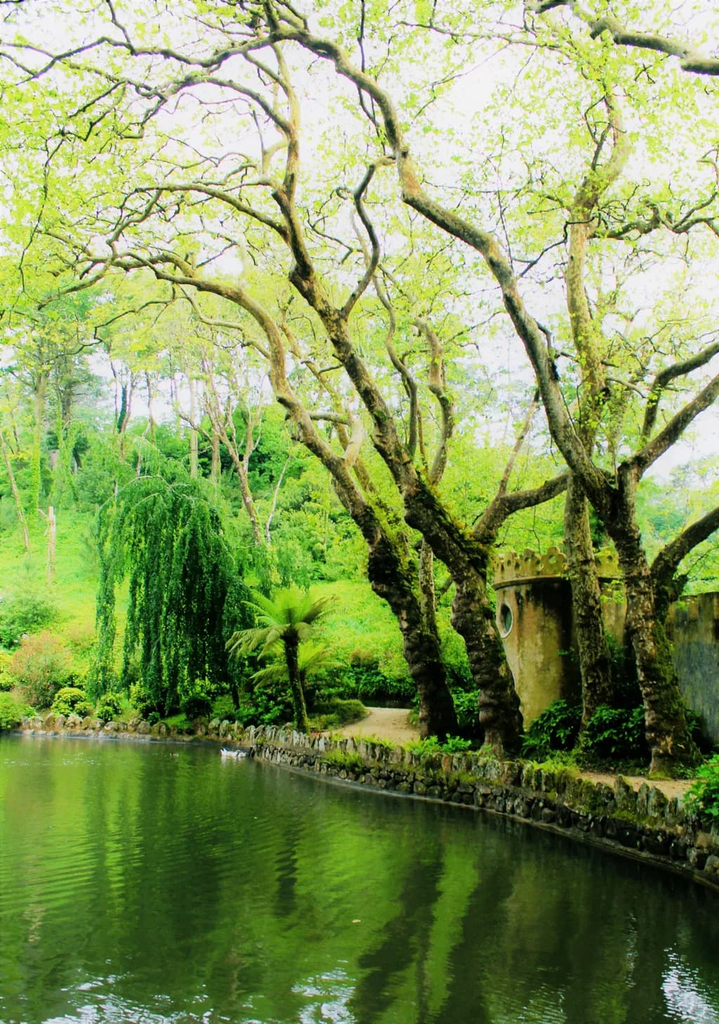 Whispers of Serenity: A Tranquil Reflection in Nature's Embrace