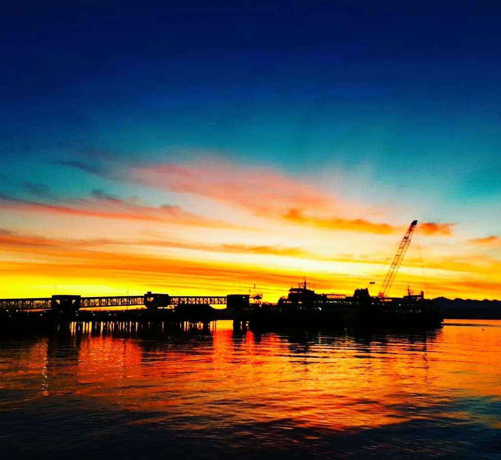 Vivid Horizon