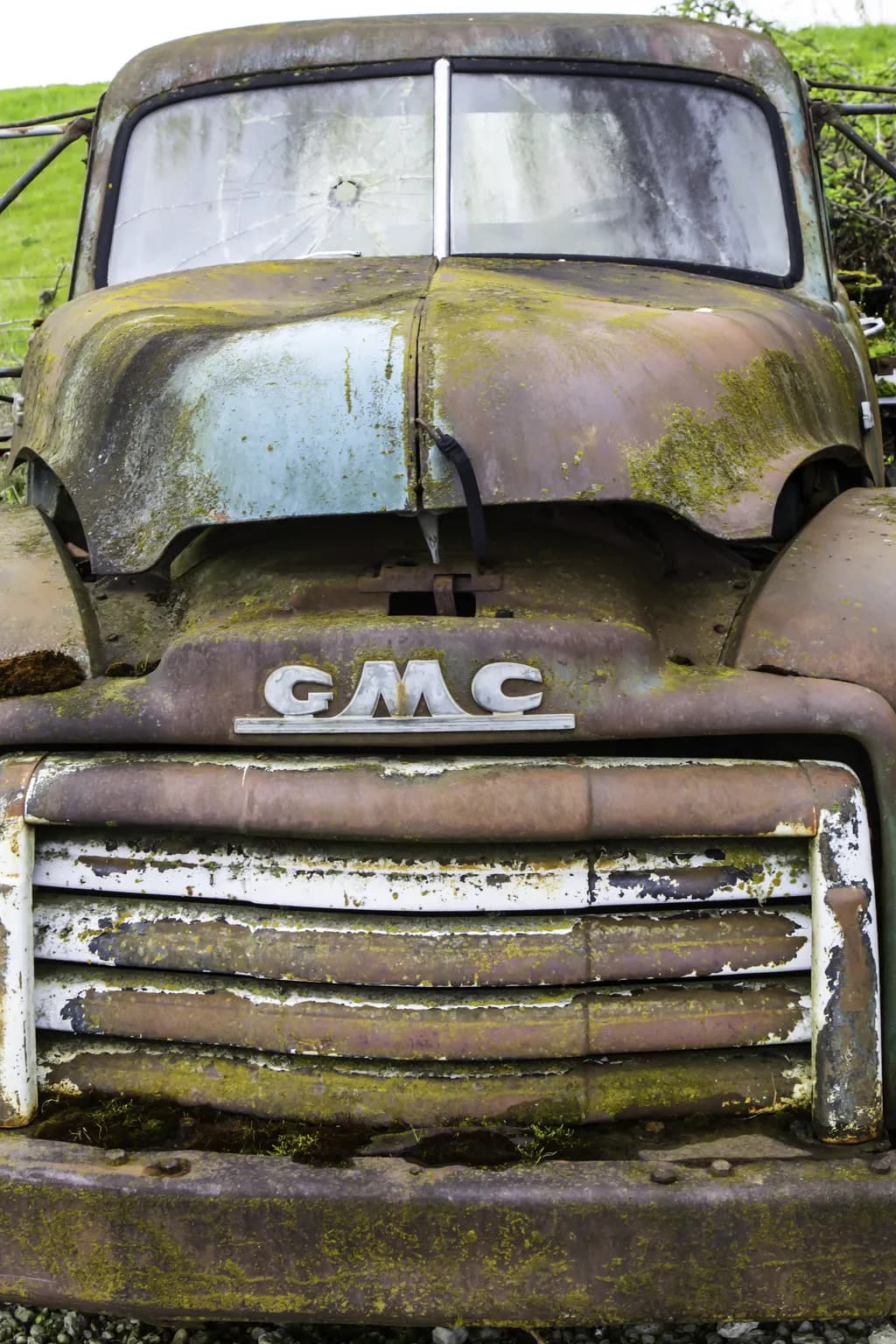 Forgotten Beauty: The Rusted Elegance of a Vintage GMC Truck