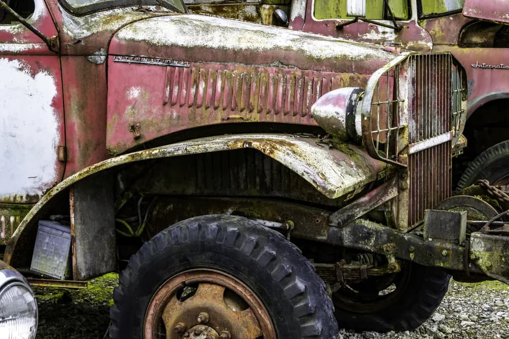 Rustic Resilience: The Beauty of an Abandoned International Truck