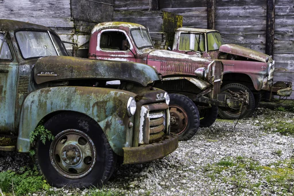 Forgotten Classics: A Rustic Trio of Vintage Trucks in Nature's Embrace