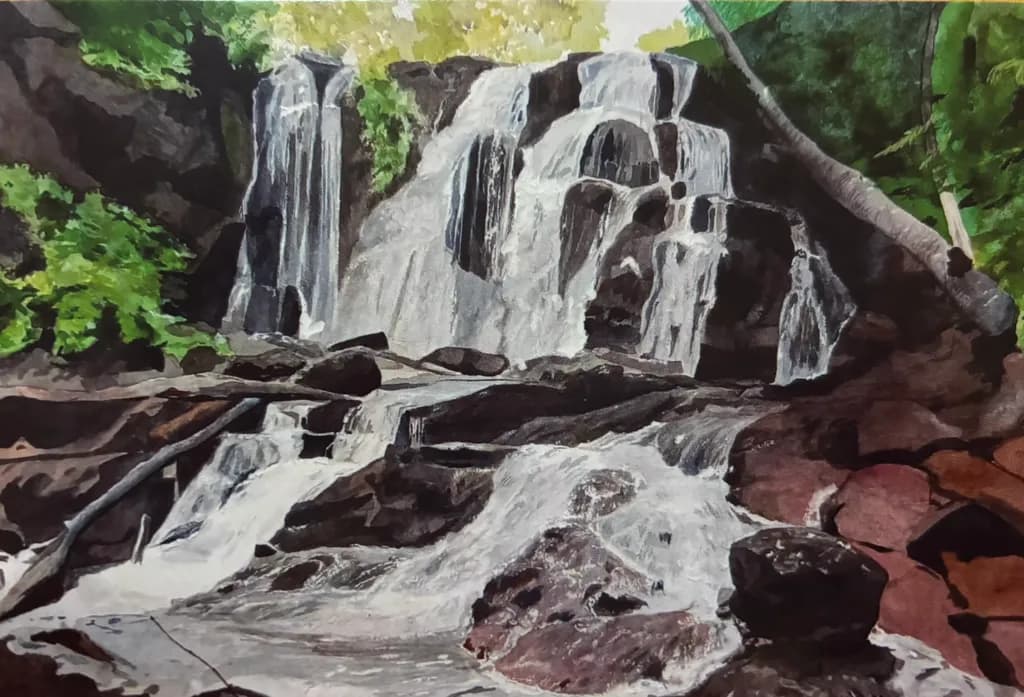 Cascading Forest Falls