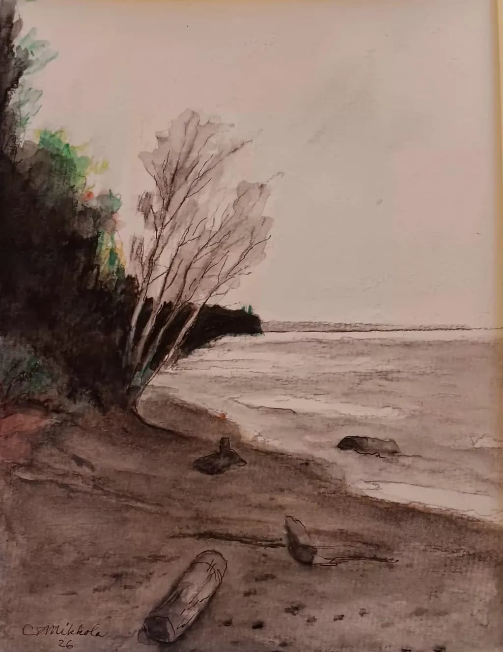 Shoreline Driftwood